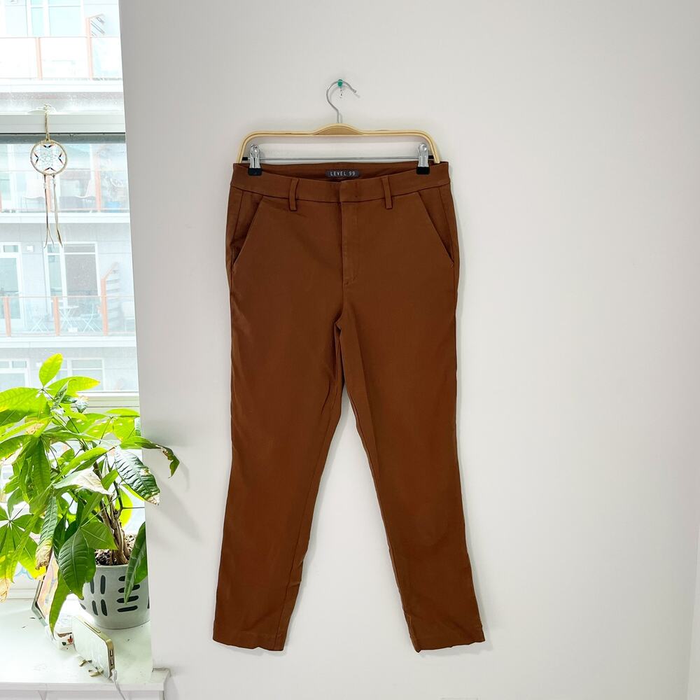 Level 99 Brown Skinny Ankle Pants Size 30